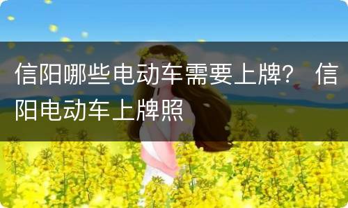 信阳哪些电动车需要上牌？ 信阳电动车上牌照