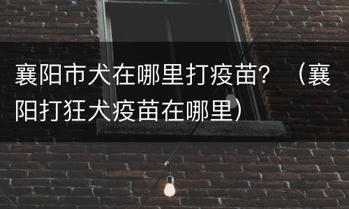 襄阳市犬在哪里打疫苗？（襄阳打狂犬疫苗在哪里）