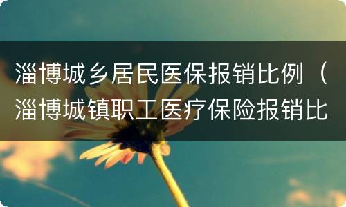 淄博城乡居民医保报销比例（淄博城镇职工医疗保险报销比例）