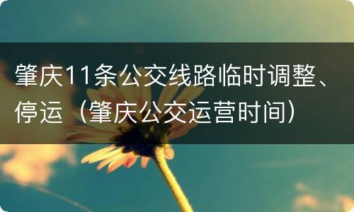 肇庆11条公交线路临时调整、停运（肇庆公交运营时间）