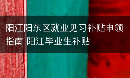 阳江阳东区就业见习补贴申领指南 阳江毕业生补贴
