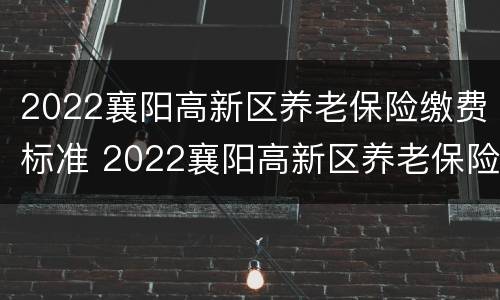 2022襄阳高新区养老保险缴费标准 2022襄阳高新区养老保险缴费标准表