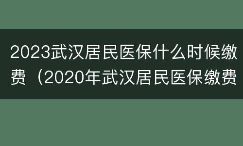 2023武汉居民医保什么时候缴费（2020年武汉居民医保缴费时间）