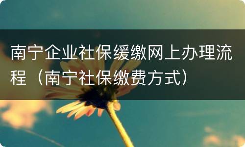 南宁企业社保缓缴网上办理流程（南宁社保缴费方式）