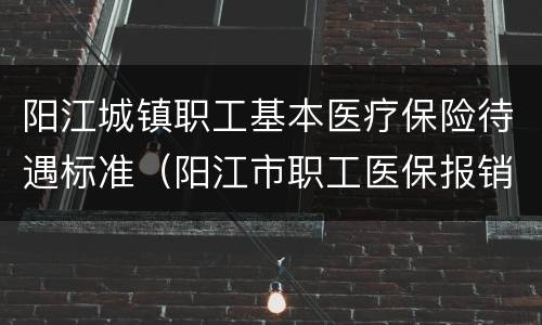 阳江城镇职工基本医疗保险待遇标准（阳江市职工医保报销比例）