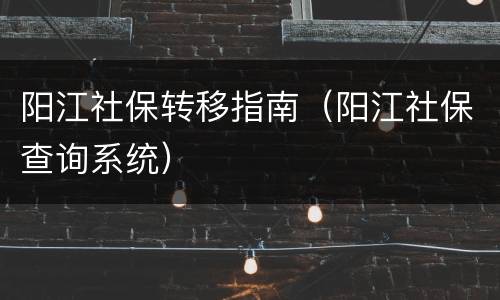 阳江社保转移指南（阳江社保查询系统）
