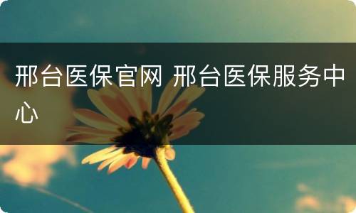 邢台医保官网 邢台医保服务中心
