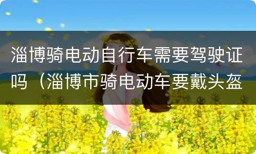 淄博骑电动自行车需要驾驶证吗（淄博市骑电动车要戴头盔吗）