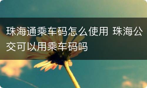 珠海通乘车码怎么使用 珠海公交可以用乘车码吗