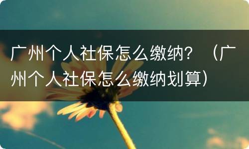 广州个人社保怎么缴纳？（广州个人社保怎么缴纳划算）