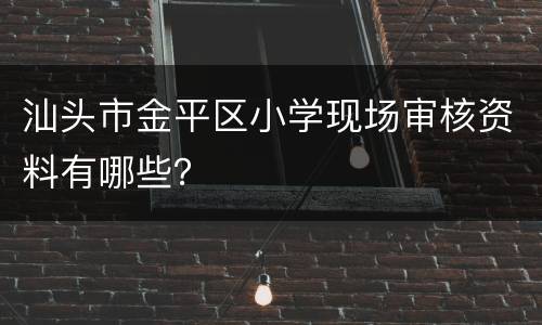 汕头市金平区小学现场审核资料有哪些？