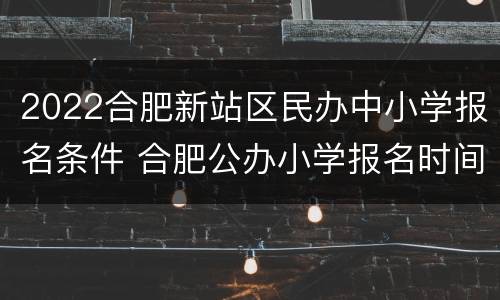 2022合肥新站区民办中小学报名条件 合肥公办小学报名时间