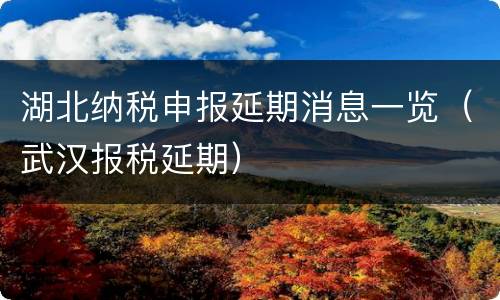 湖北纳税申报延期消息一览（武汉报税延期）