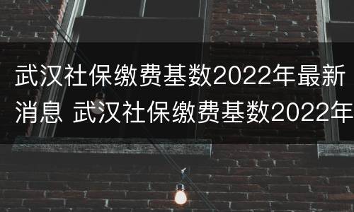 武汉社保缴费基数2022年最新消息 武汉社保缴费基数2022年最新消息表