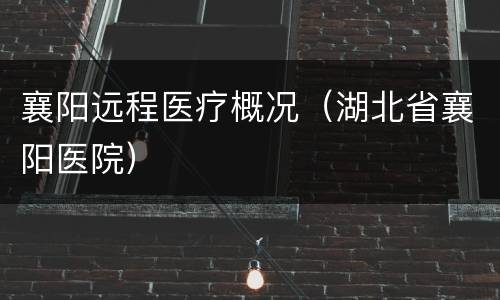 襄阳远程医疗概况（湖北省襄阳医院）