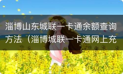 淄博山东城联一卡通余额查询方法（淄博城联一卡通网上充值）