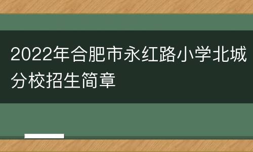 2022年合肥市永红路小学北城分校招生简章