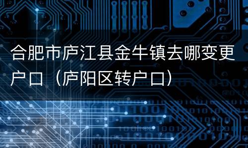 合肥市庐江县金牛镇去哪变更户口（庐阳区转户口）