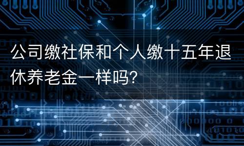公司缴社保和个人缴十五年退休养老金一样吗？