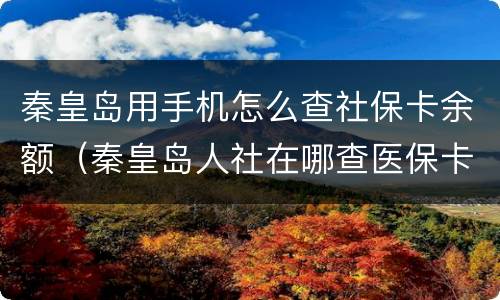 秦皇岛用手机怎么查社保卡余额（秦皇岛人社在哪查医保卡余额）