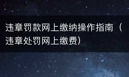 违章罚款网上缴纳操作指南（违章处罚网上缴费）