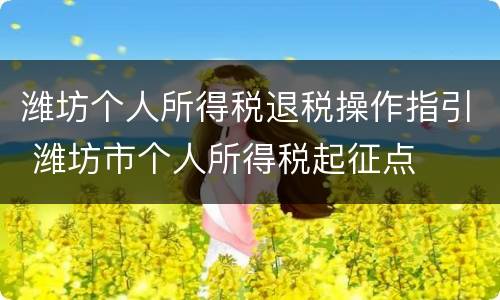 潍坊个人所得税退税操作指引 潍坊市个人所得税起征点