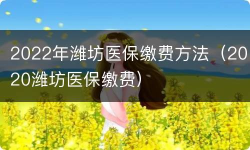 2022年潍坊医保缴费方法（2020潍坊医保缴费）