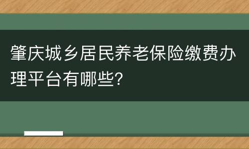 肇庆城乡居民养老保险缴费办理平台有哪些？