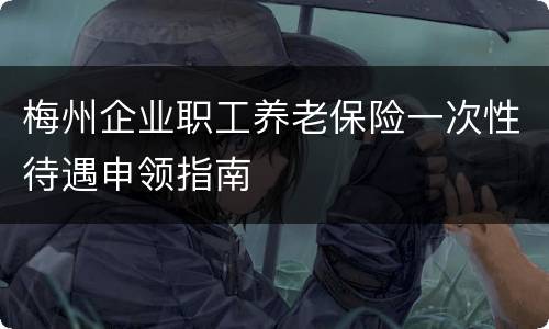 梅州企业职工养老保险一次性待遇申领指南