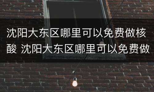 沈阳大东区哪里可以免费做核酸 沈阳大东区哪里可以免费做核酸检测