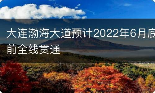 大连渤海大道预计2022年6月底前全线贯通