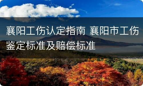 襄阳工伤认定指南 襄阳市工伤鉴定标准及赔偿标准
