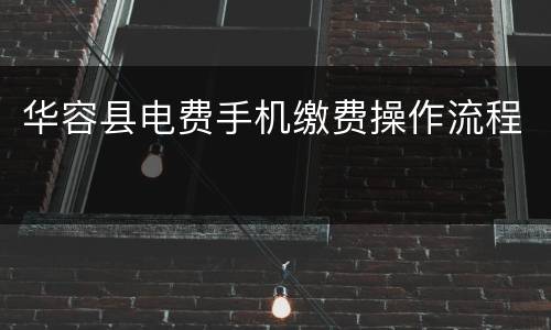 华容县电费手机缴费操作流程