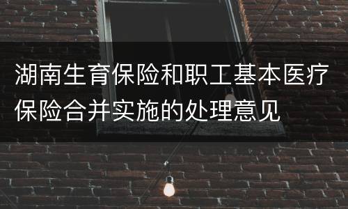 湖南生育保险和职工基本医疗保险合并实施的处理意见