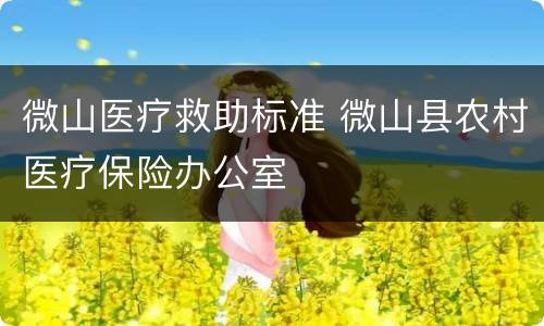 微山医疗救助标准 微山县农村医疗保险办公室