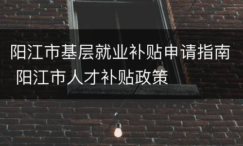 阳江市基层就业补贴申请指南 阳江市人才补贴政策