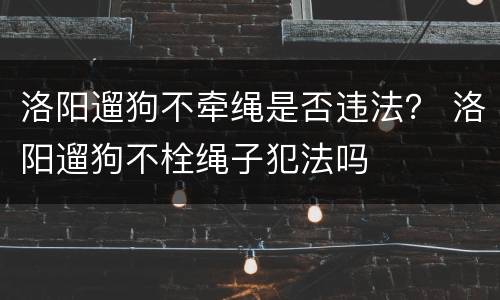 洛阳遛狗不牵绳是否违法？ 洛阳遛狗不栓绳子犯法吗