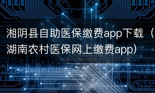 湘阴县自助医保缴费app下载（湖南农村医保网上缴费app）