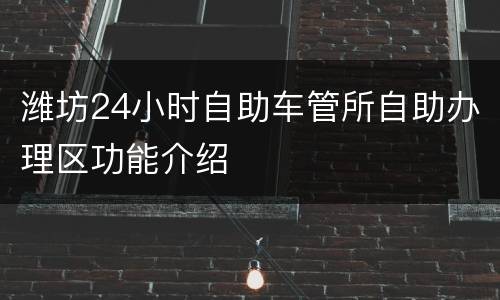 潍坊24小时自助车管所自助办理区功能介绍