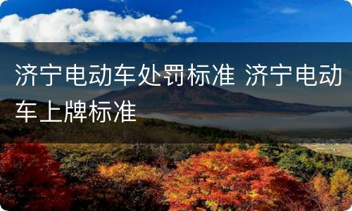 济宁电动车处罚标准 济宁电动车上牌标准