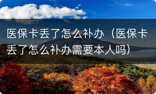 医保卡丢了怎么补办（医保卡丢了怎么补办需要本人吗）