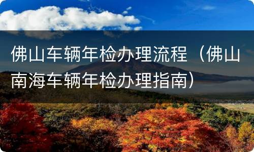 佛山车辆年检办理流程（佛山南海车辆年检办理指南）