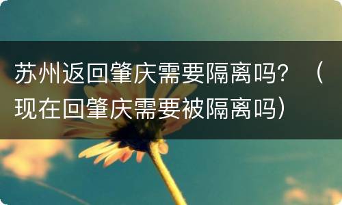 苏州返回肇庆需要隔离吗？（现在回肇庆需要被隔离吗）