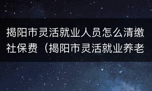揭阳市灵活就业人员怎么清缴社保费（揭阳市灵活就业养老保险）