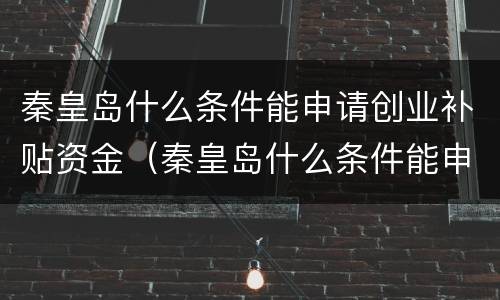 秦皇岛什么条件能申请创业补贴资金（秦皇岛什么条件能申请创业补贴资金呢）