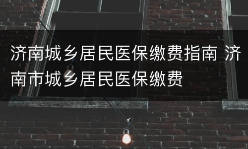 济南城乡居民医保缴费指南 济南市城乡居民医保缴费
