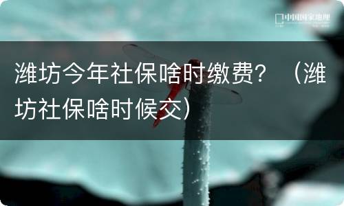 潍坊今年社保啥时缴费？（潍坊社保啥时候交）