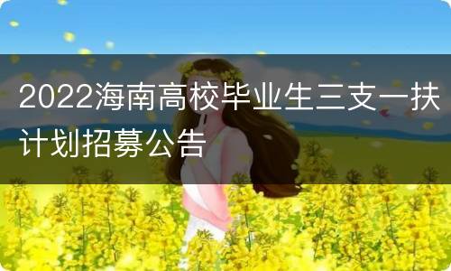 2022海南高校毕业生三支一扶计划招募公告