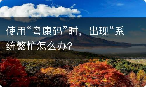 使用“粤康码”时，出现“系统繁忙怎么办？