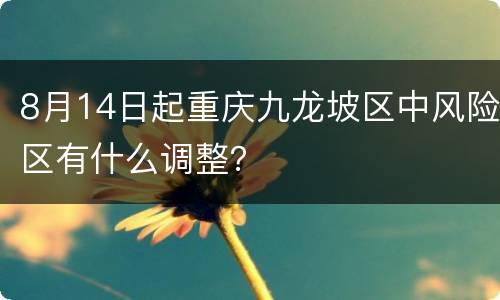 8月14日起重庆九龙坡区中风险区有什么调整？